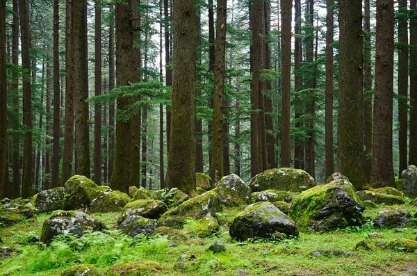 Discover the joy of perfect mystery boxes for every taste